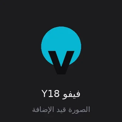 فيفو Y18